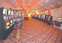 Bingo y tragamonedas